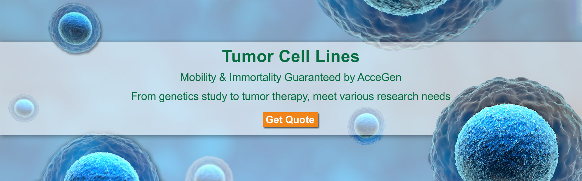 BANNER-ACCEGEN TUMOR CELL LINES.jpg