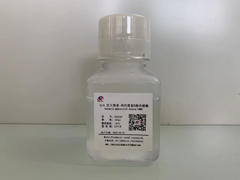 G/A 庆大霉素-两性霉素B混合溶液（100x)