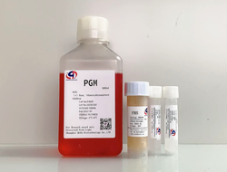 周细胞培养基（PGM)