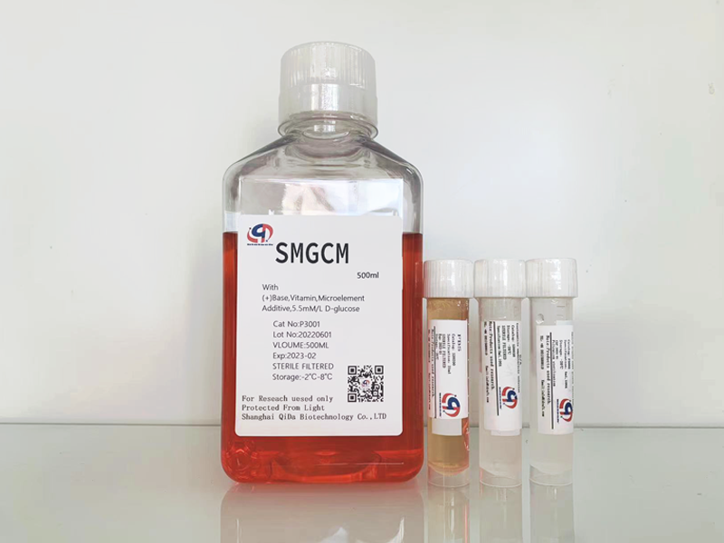 平滑肌细胞培养基SMGCM
