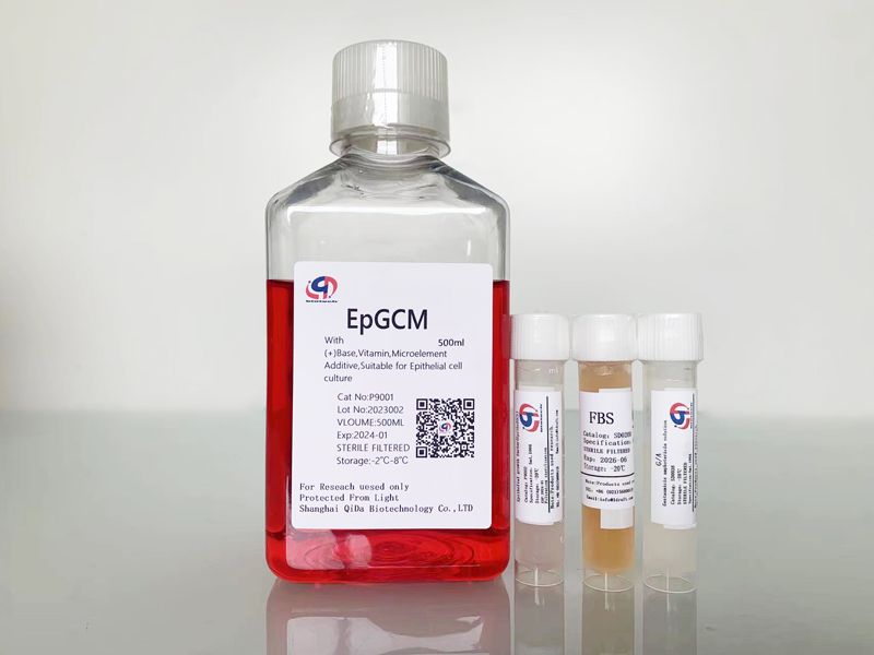 EpGCM低血清上皮细胞培养基