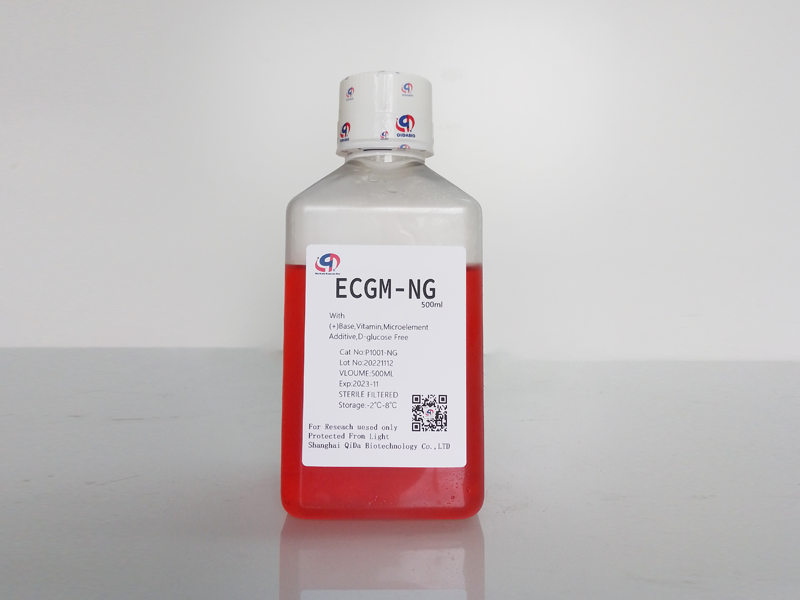 ECGM内皮细胞基础培养基(ECGM- b）