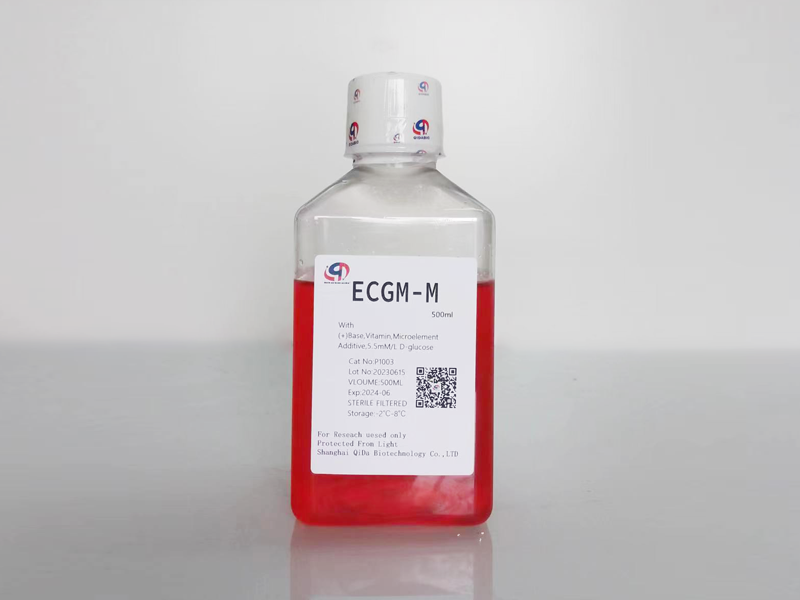 ECGM内皮细胞基础培养基(ECGM- b）