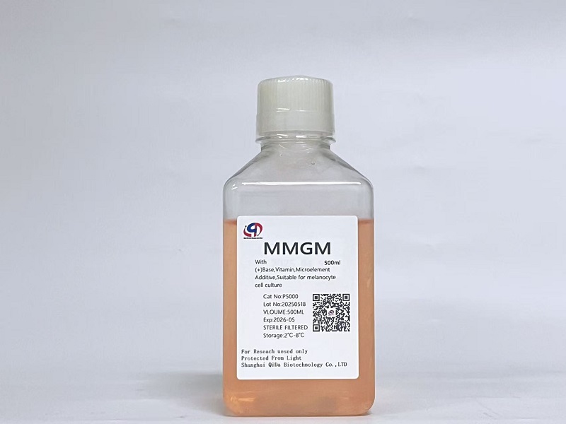 MM黑素细胞基础培养基