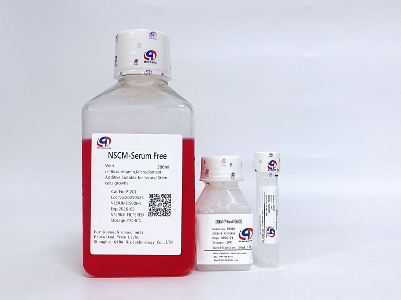 NSCM-Serum Free 无血清神经干细胞培养基