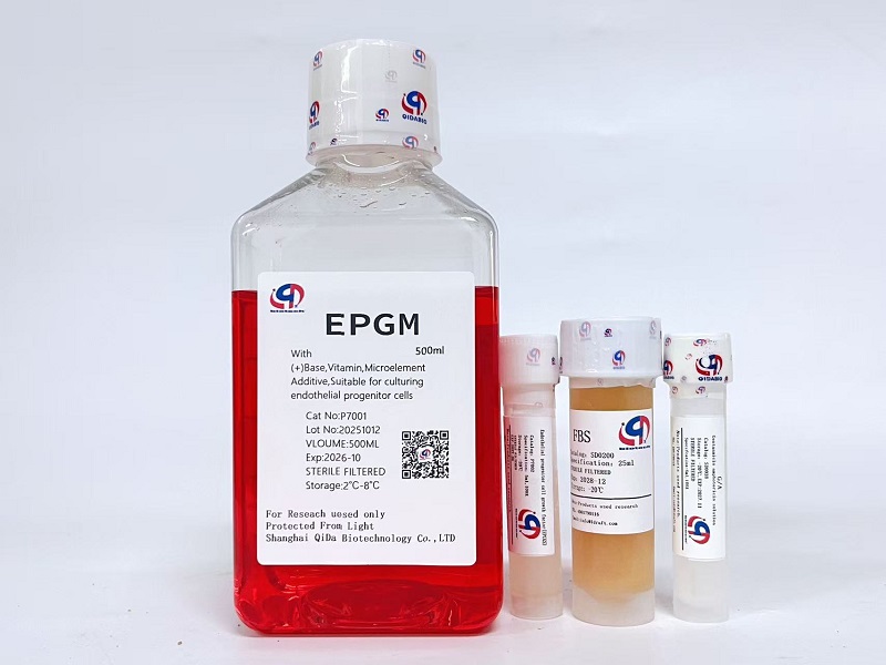 EPGM内皮祖细胞培养基